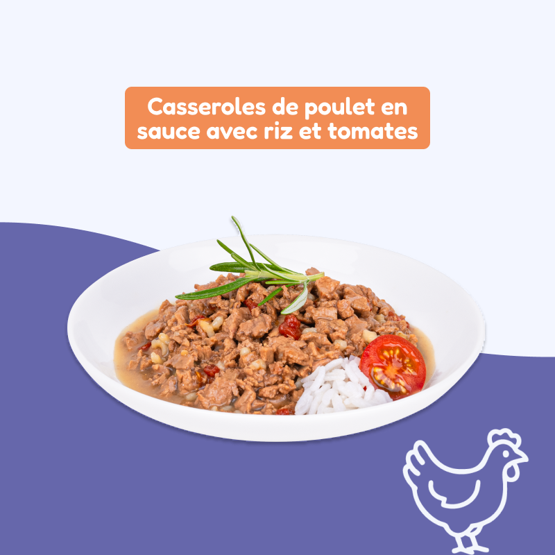 Casseroles de poulet, avec riz et tomates (chien adulte)