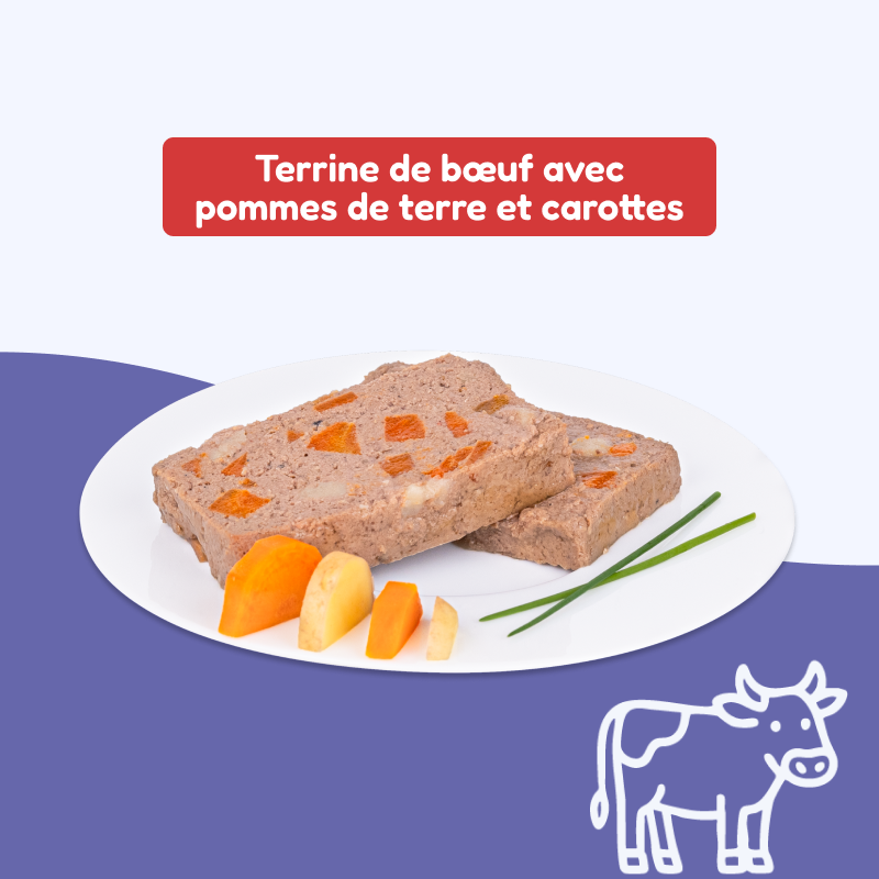 Terrines de bœuf, avec pommes de terre et carottes (chien adulte)