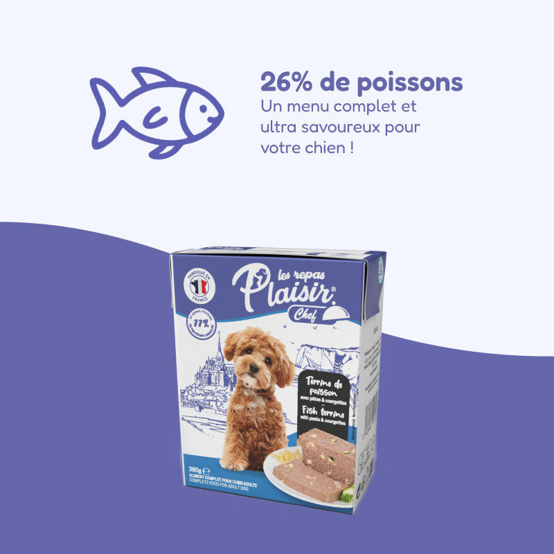 Terrines de poisson, avec pâtes et courgettes (chien adulte)