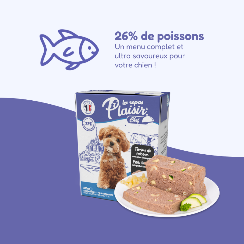 Pack de casseroles et terrines multisaveurs (chien adulte)