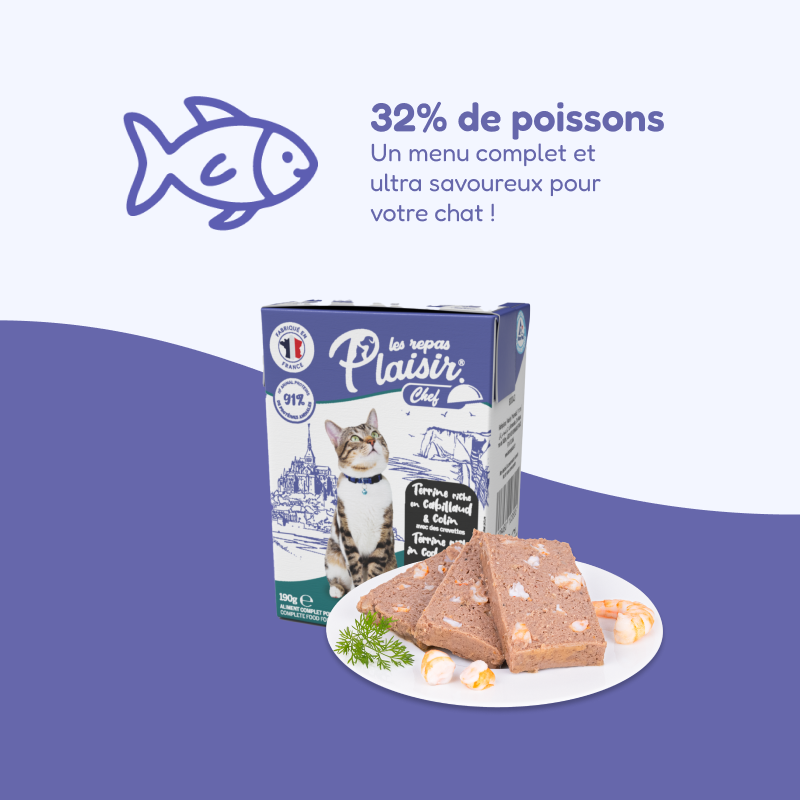 Pack de casseroles et terrines multisaveurs (chat stérilisé)