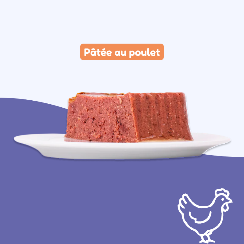 Pâtées au poulet (chiot)
