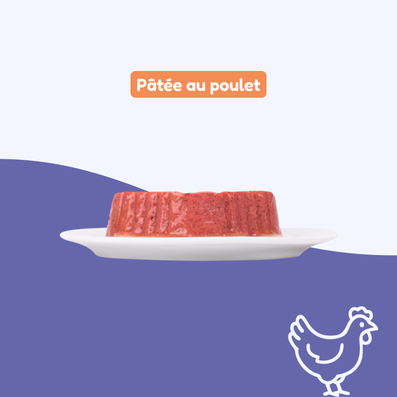 Patées au poulet (chaton)