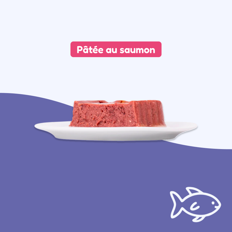 Pâtées au saumon (chat stérilisé)