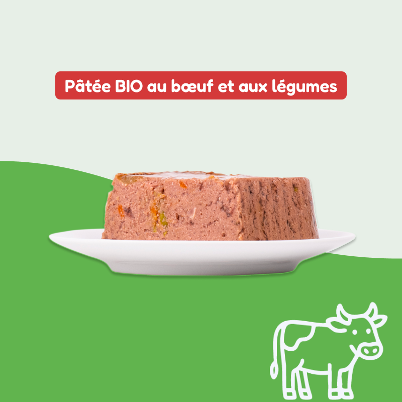 Pâtées bio au bœuf et légumes (chien adulte)