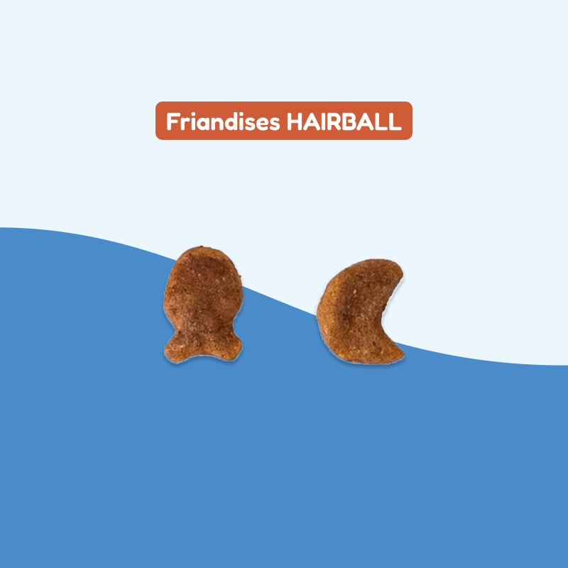 Friandises HAIRBALL (chat adulte)