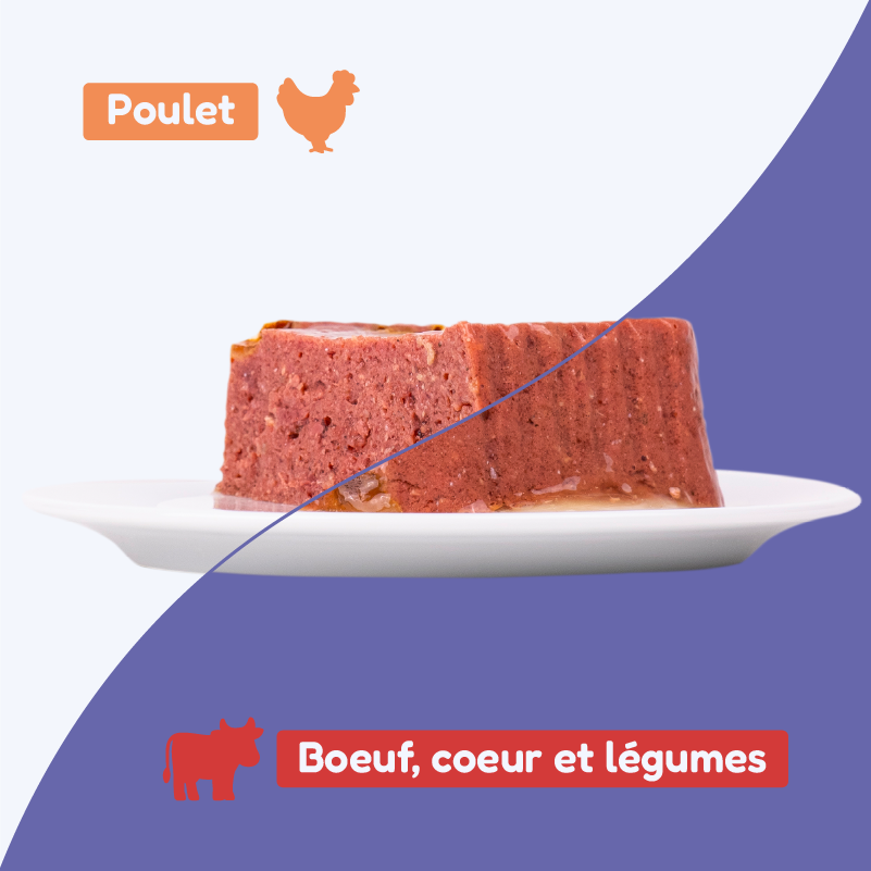 Pack découverte - pâtées bœuf et poulet (chien adulte)