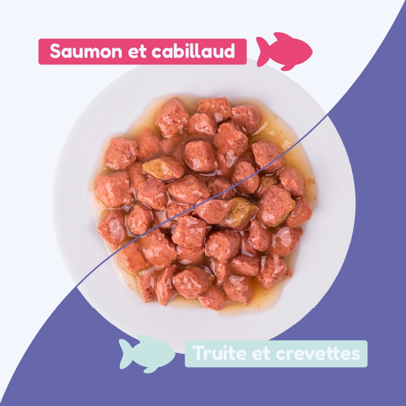 Pack découverte - émincés saumon et truite (chat stérilisé)
