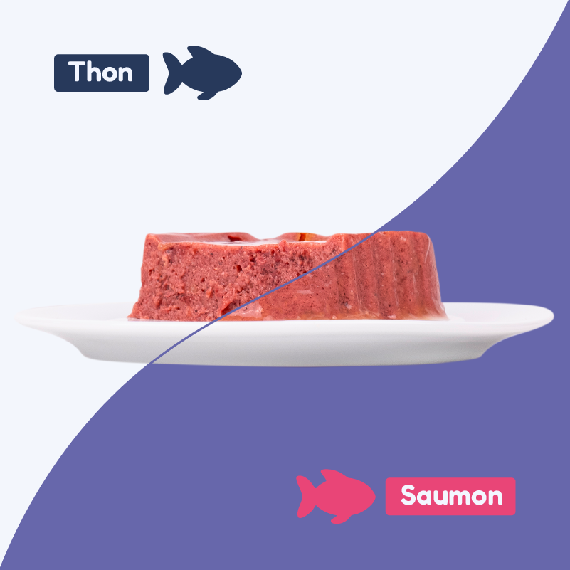 Pack découverte - pâtées au thon et au saumon (chat stérilisé)