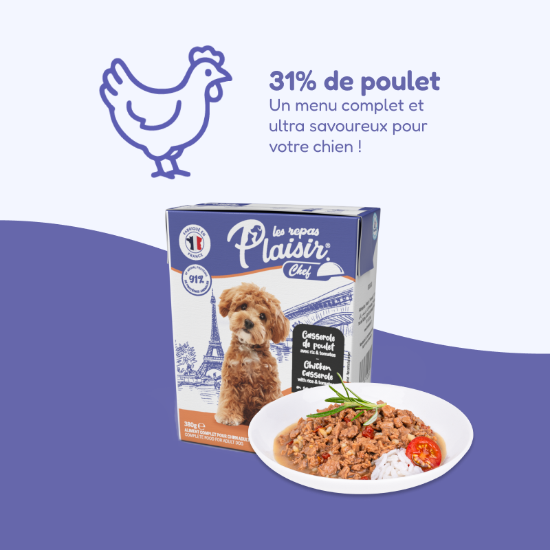 Pack de casseroles et terrines multisaveurs (chien adulte)