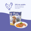 Pack de casseroles et terrines multisaveurs (chien adulte)