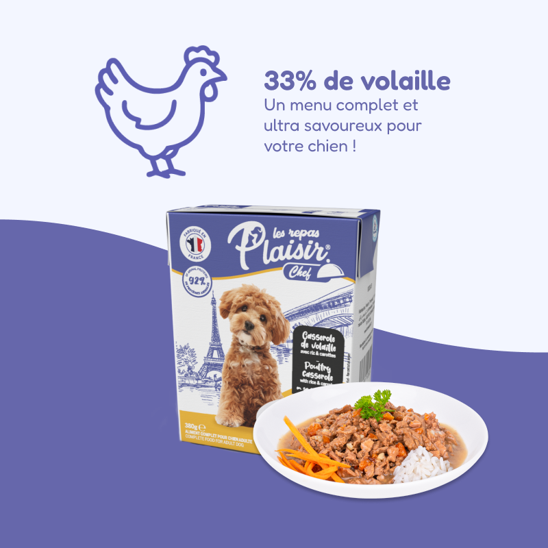 Pack de casseroles et terrines multisaveurs (chien adulte)