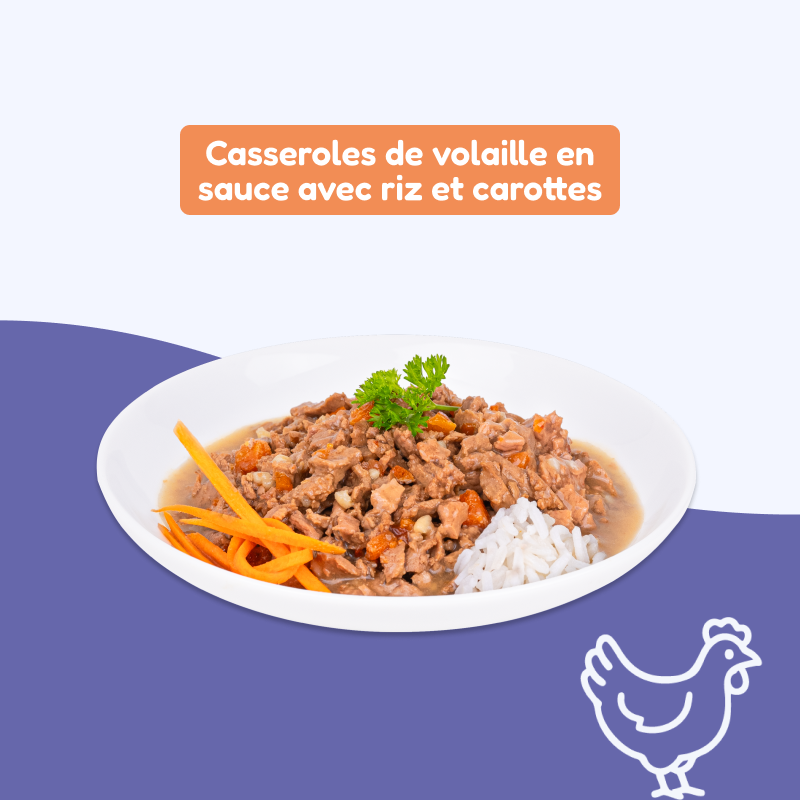 Casseroles de volaille, avec riz et carottes (chien adulte)