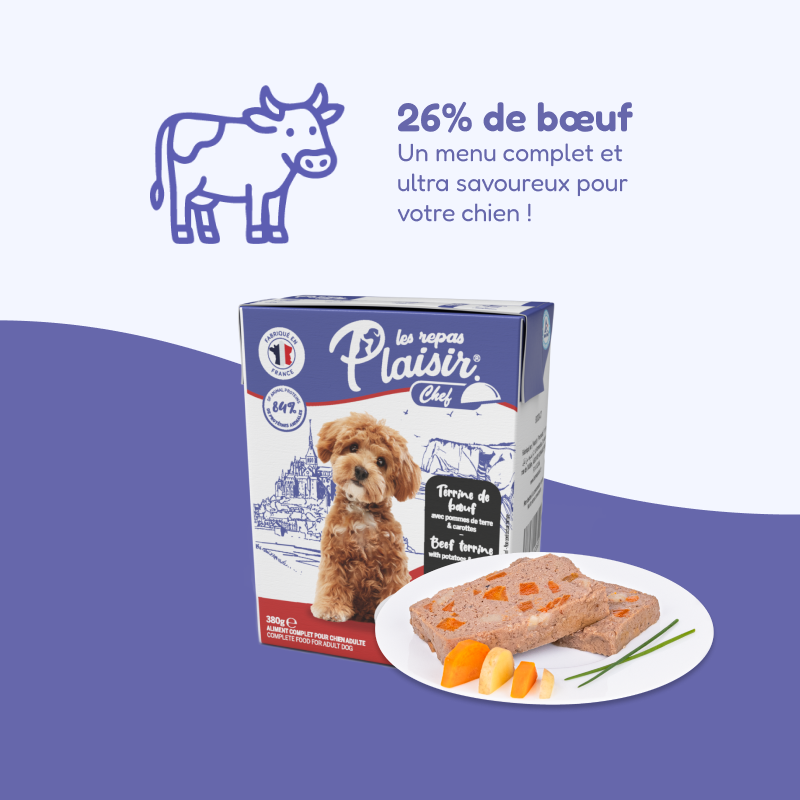 Pack de casseroles et terrines multisaveurs (chien adulte)