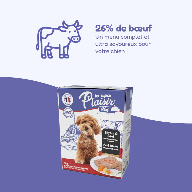 Terrines de bœuf, avec pommes de terre et carottes (chien adulte)