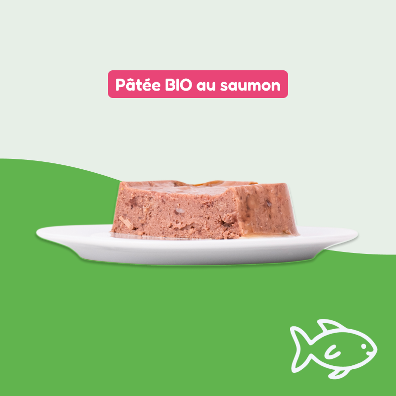 Pâtées bio au saumon (chat adulte et stérilisé)