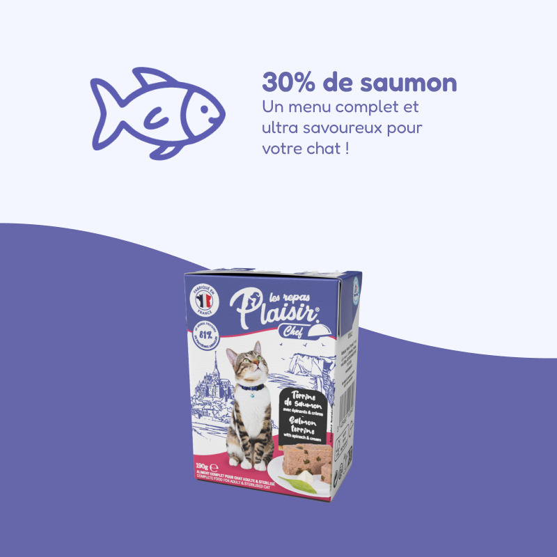 Terrines de saumon, avec épinards et crème (chat stérilisé)