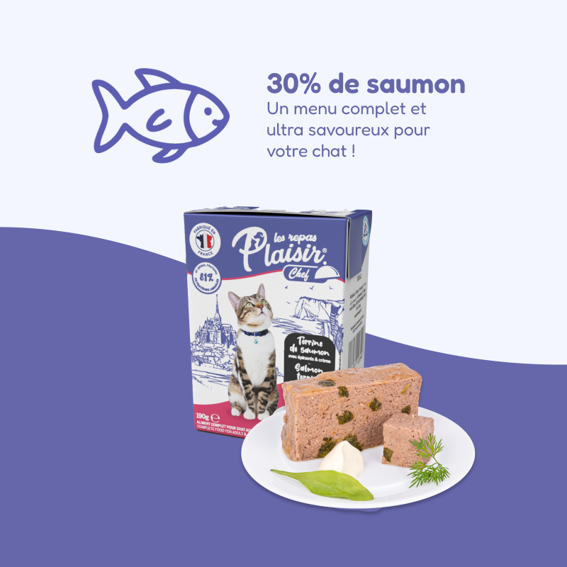 Pack de casseroles et terrines multisaveurs (chat stérilisé)