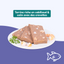Terrines cabillaud et colin, avec crevettes (chat stérilisé)