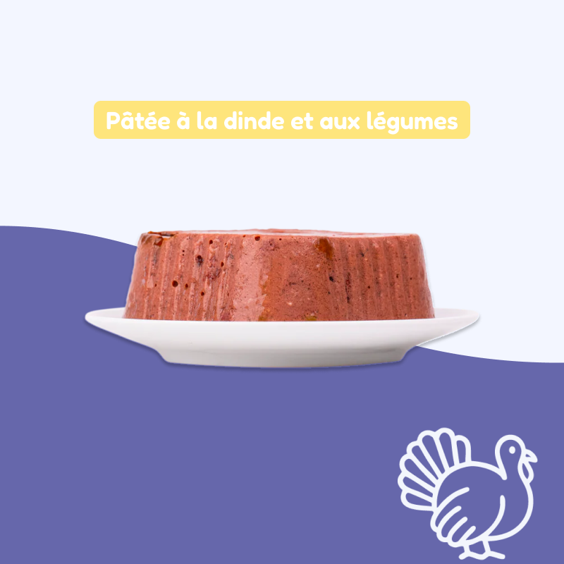 Pâtées à la dinde et aux légumes (chien adulte)