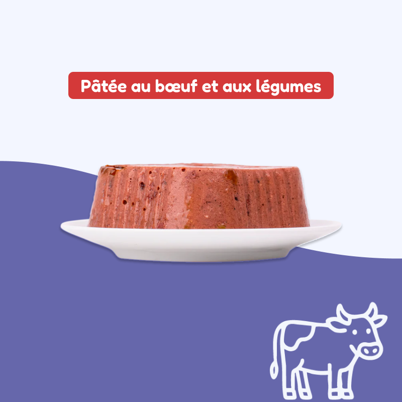 Pâtées au bœuf et aux légumes (chien adulte)