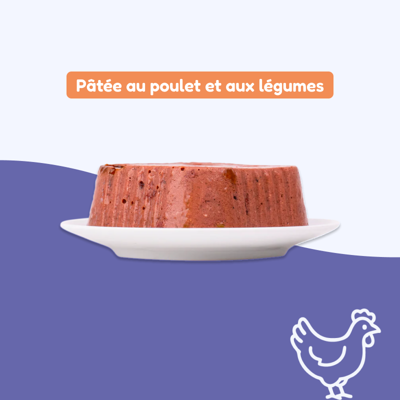 Pâtées au poulet et aux légumes (chien adulte)