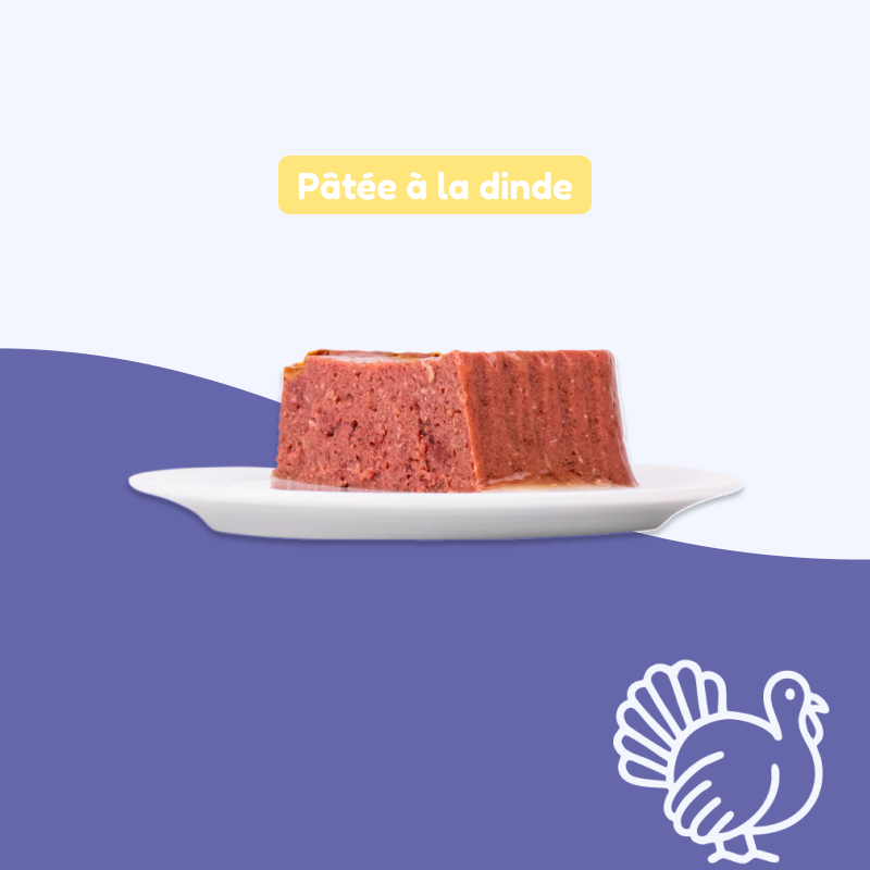 Pâtées à la dinde (chien adulte)