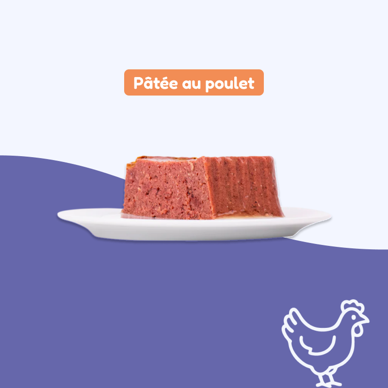 Pâtées au poulet (chien adulte)