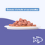 Émincés à la truite et aux crevettes (chat stérilisé)