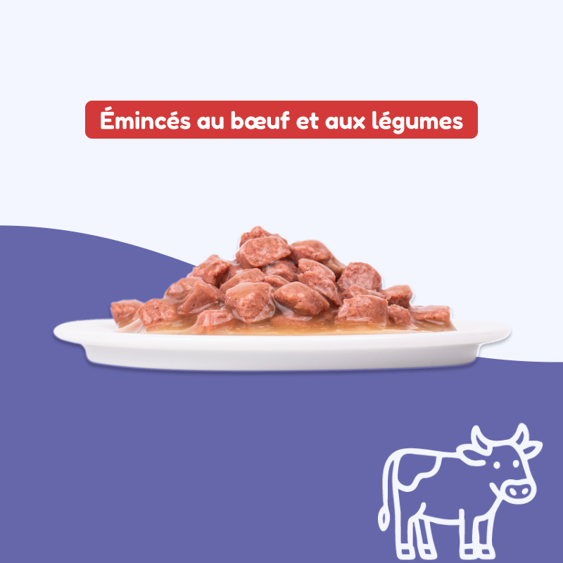 Émincés au bœuf et aux légumes (chien adulte)