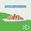 Émincés bio au poisson (chat adulte et stérilisé)