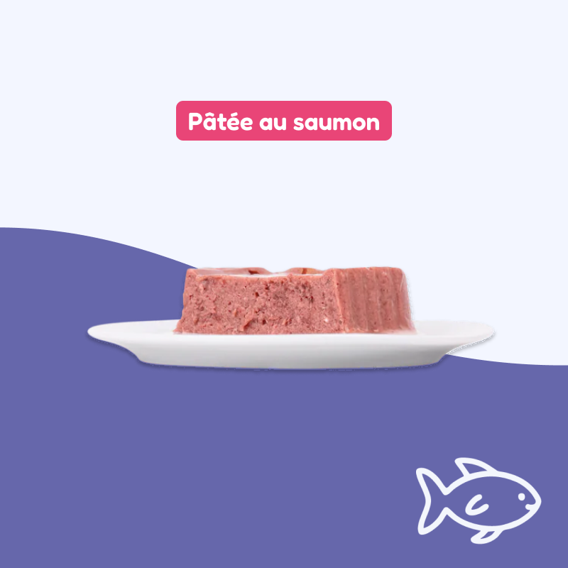 Pâtées au saumon (chaton)
