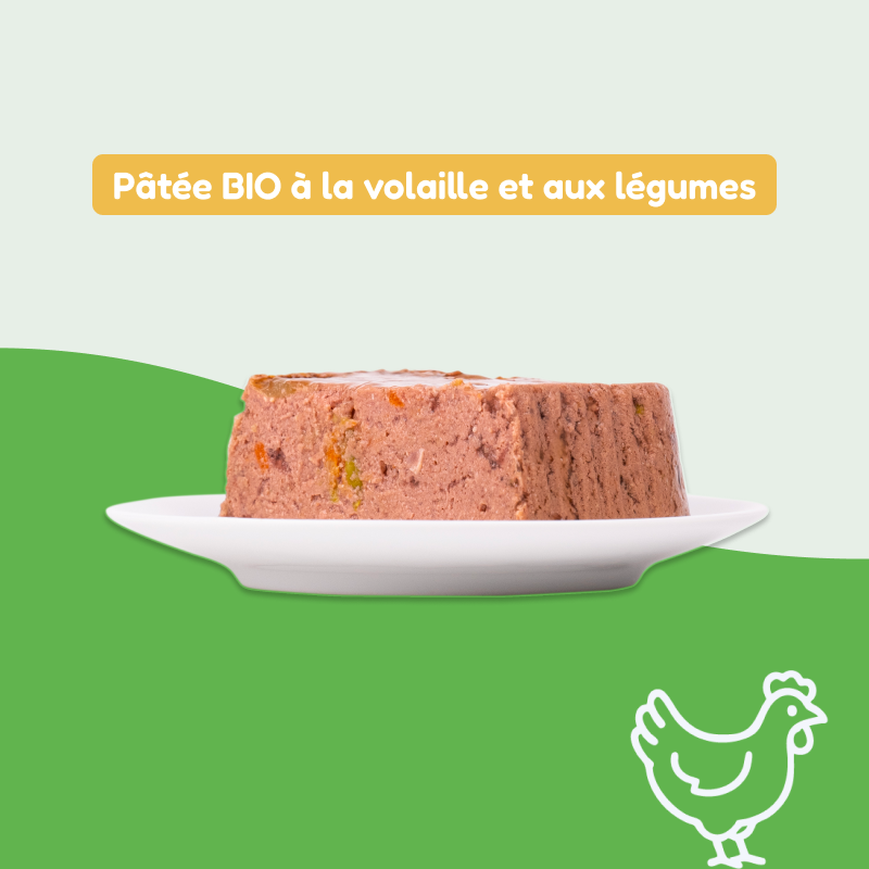 Pâtées bio à la volaille et légumes (chien adulte)