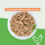 Les fines Lamelles BIO poulet et haricots verts en sauce (chien adulte)
