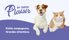 Carte de bienvenue