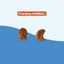 Friandises HAIRBALL (chat adulte)
