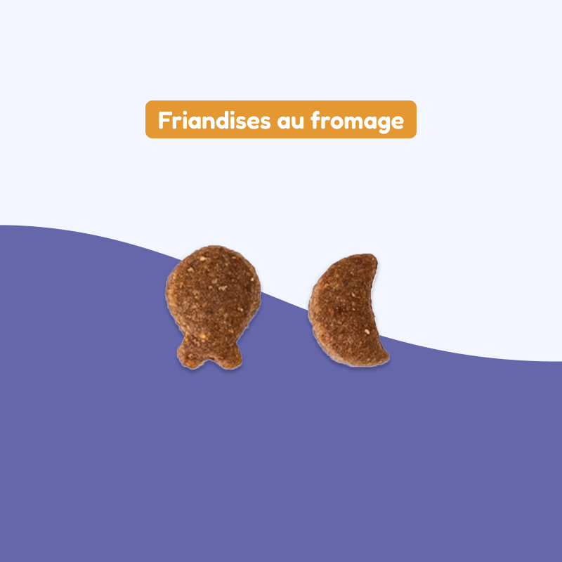 Friandises au fromage (chat adulte)