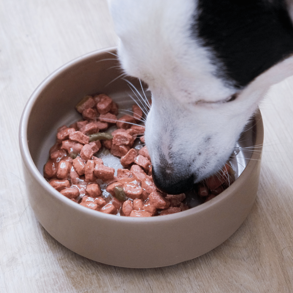 Pack d'émincés multisaveurs (chien adulte)