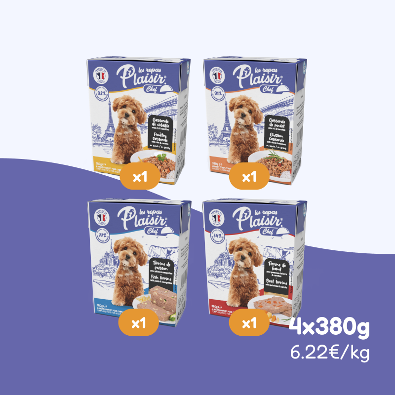 Pack de casseroles et terrines multisaveurs (chien adulte)