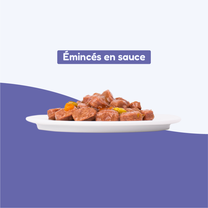 Pack d'émincés multisaveurs (chien adulte)
