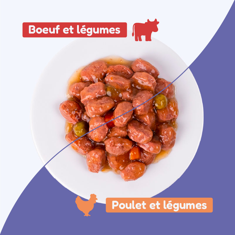Pack découverte - émincés bœuf et poulet (chien adulte)