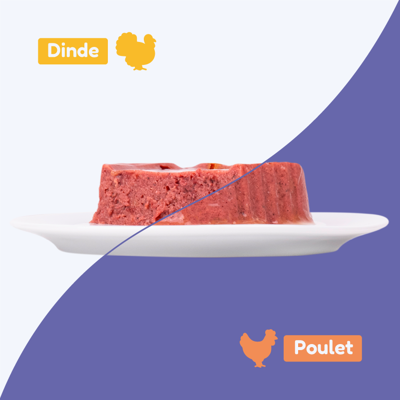 Pack découverte - pâtées à la dinde et au poulet (chat stérilisé)