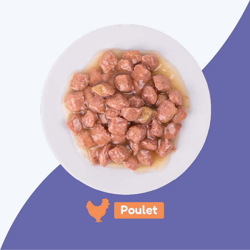 Pack découverte - émincés au poulet (chaton)