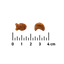 Friandises HAIRBALL (chat adulte)